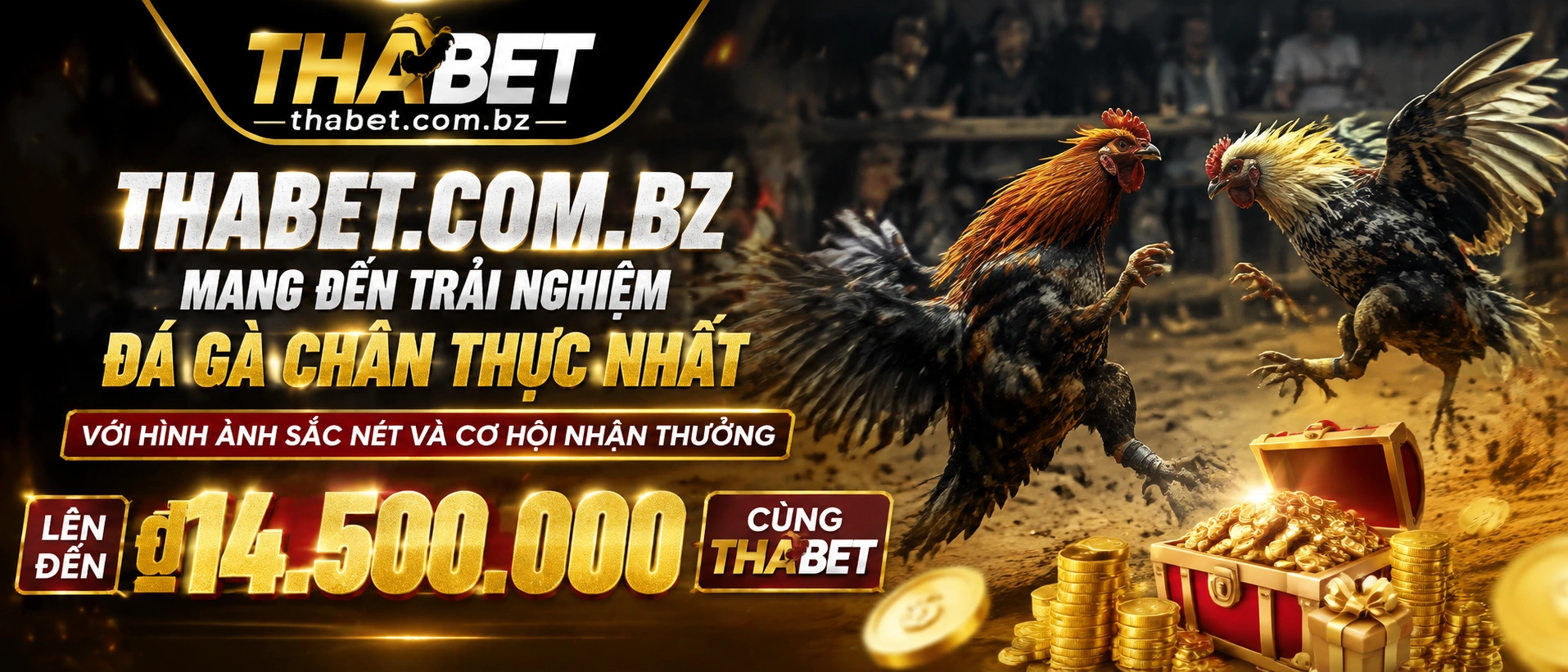 Đá Gà Trực Tiếp trên thabet.com.bz